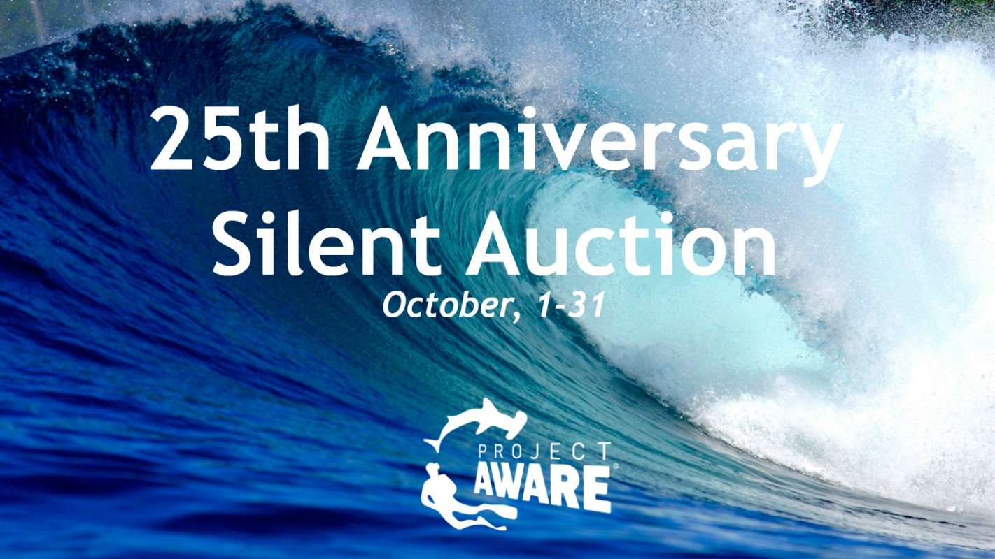 image of silent auction banner