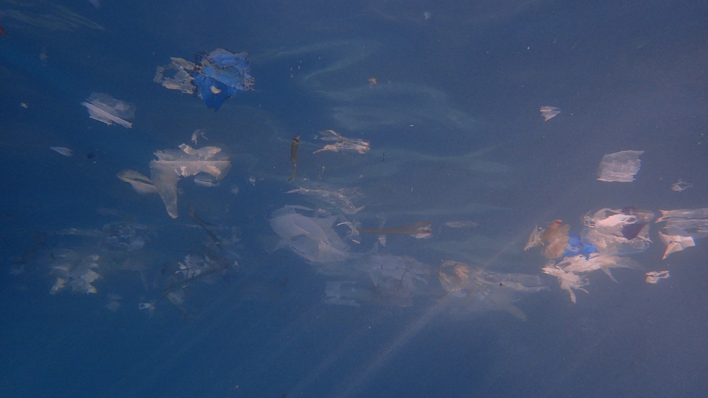 image of plastic floating in the sea