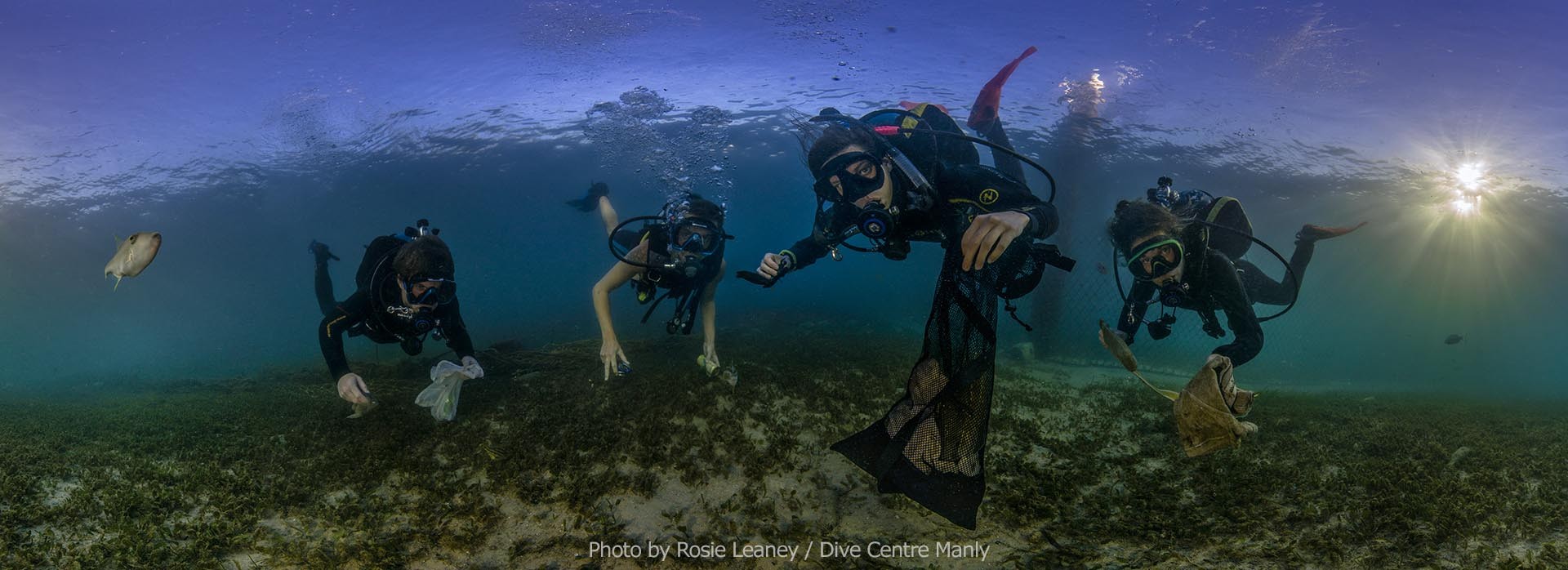 Dive Against Debris Panorama