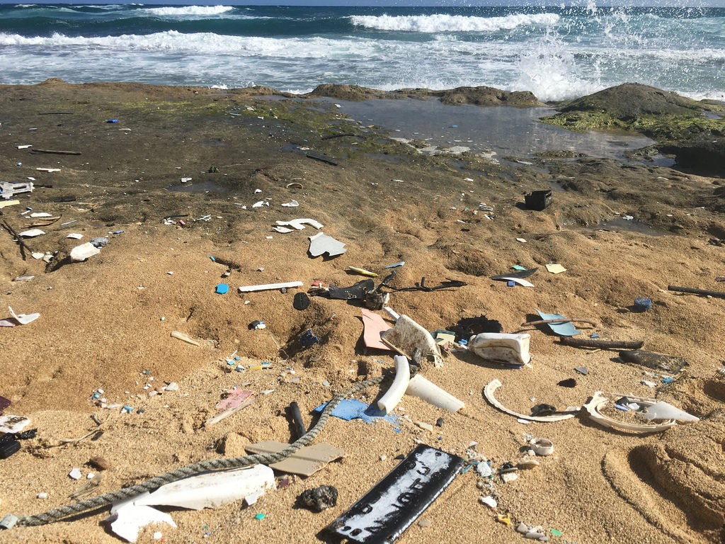 image of debris beach Kamilo point