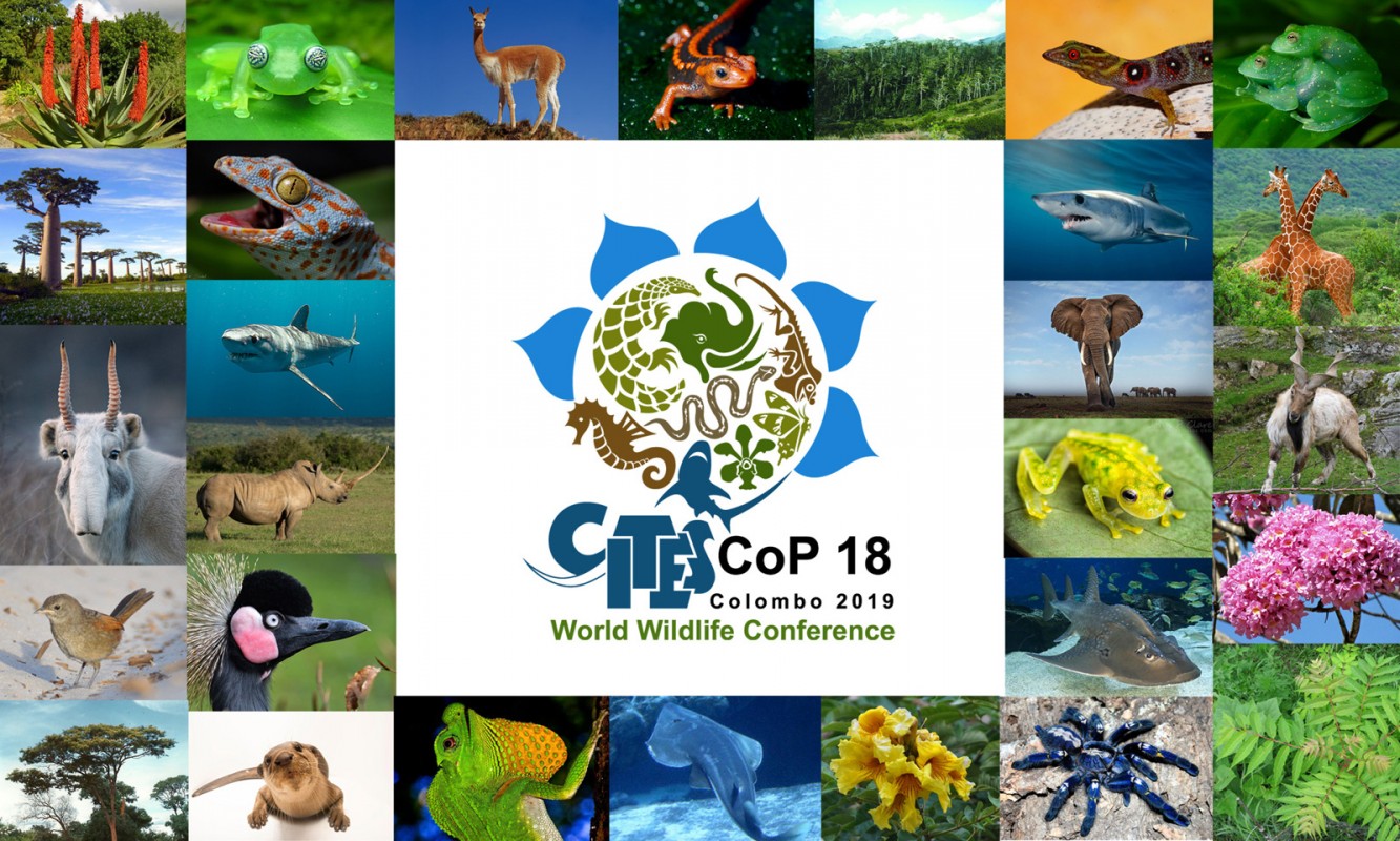 image of cites cop18 banner