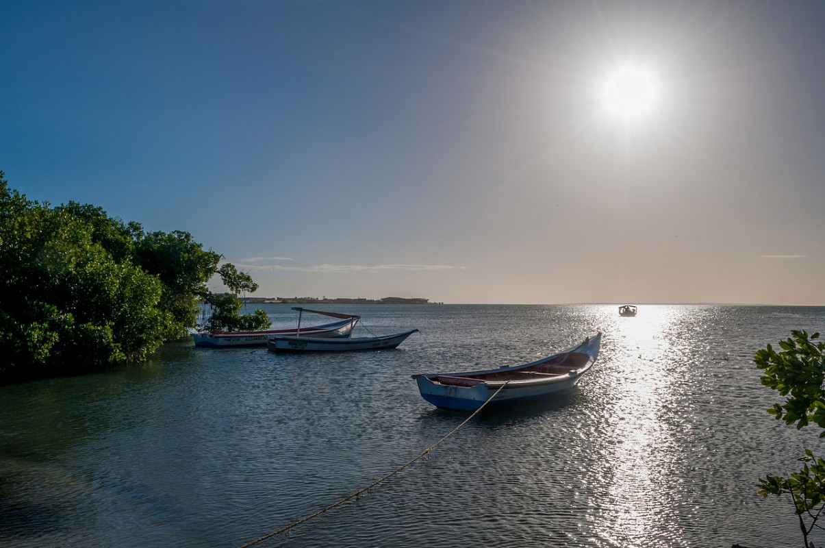 image of mangroves and boat El Guamache Bay, Margarita island, Venezuela