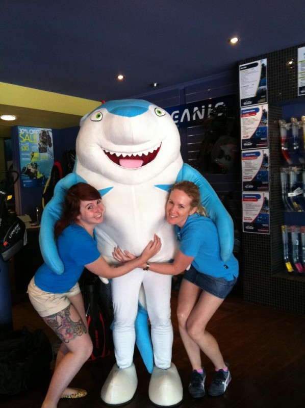 image of shark costume