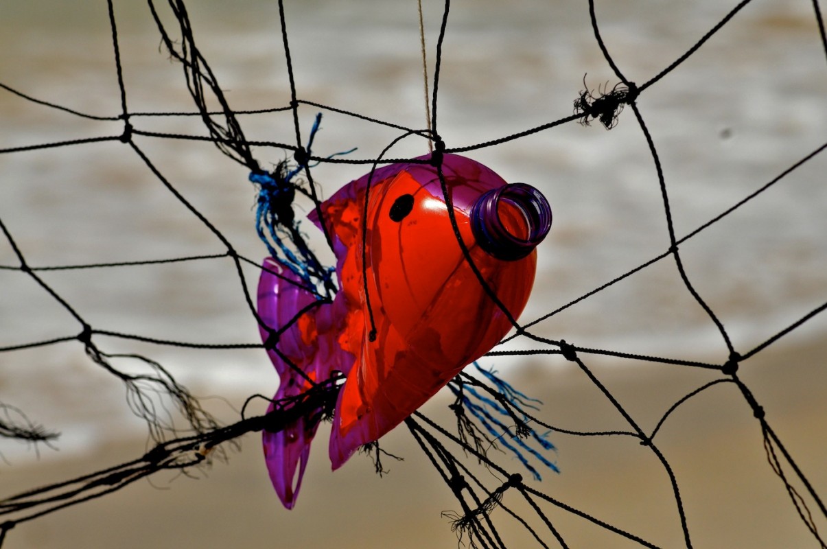 Image of marine debris art