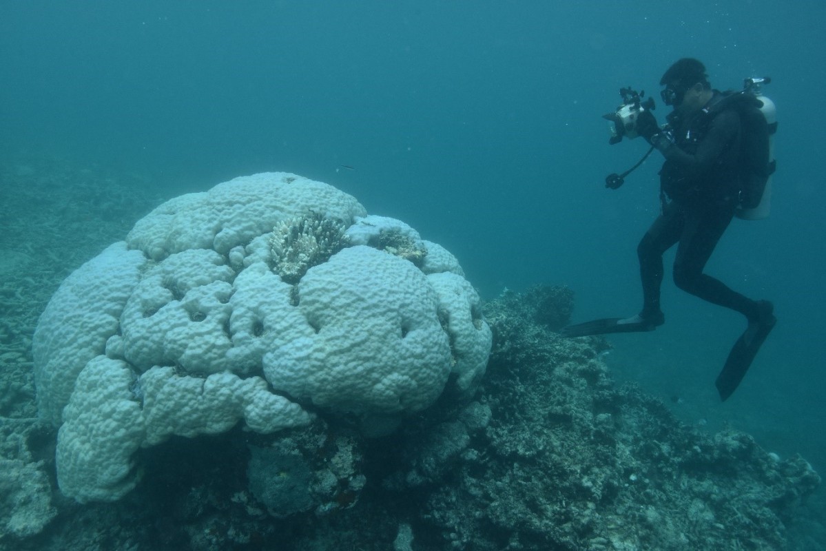 image of underwater photography