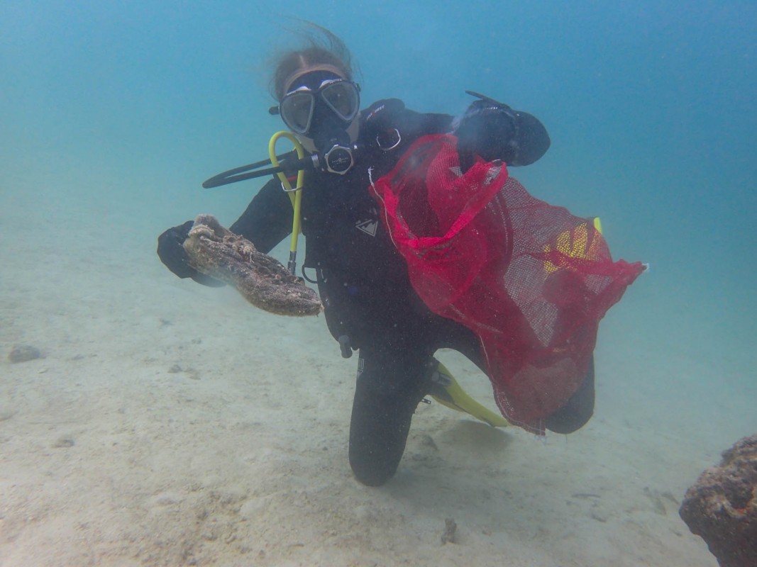 image of underwater debris collection