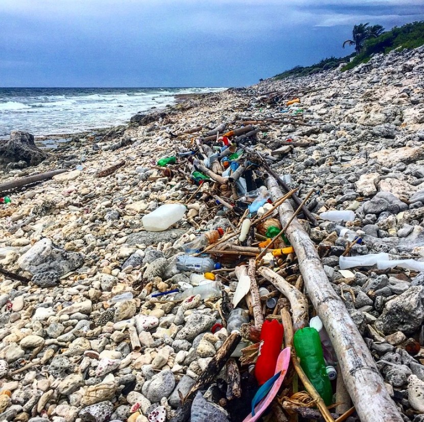 Beach trash