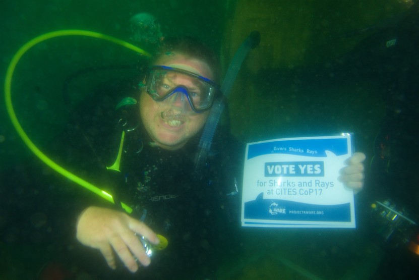 Kevin O'Sullivan for #Divers4SharksNRays