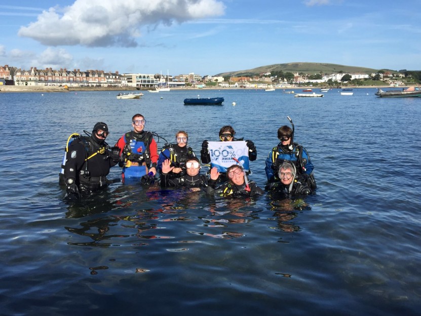 Ocean Turtle Diving Against Debris at Swanage Pier