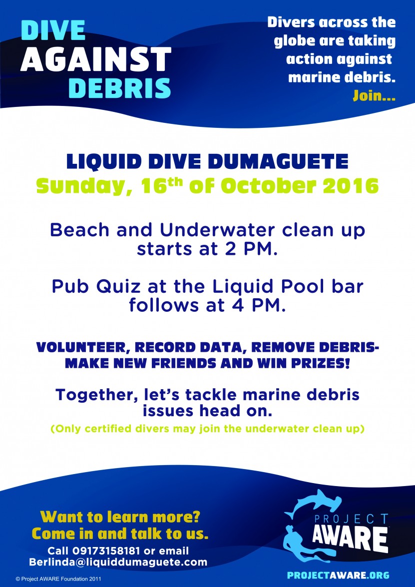 Liquid Beach & Underwater Cleanup poster