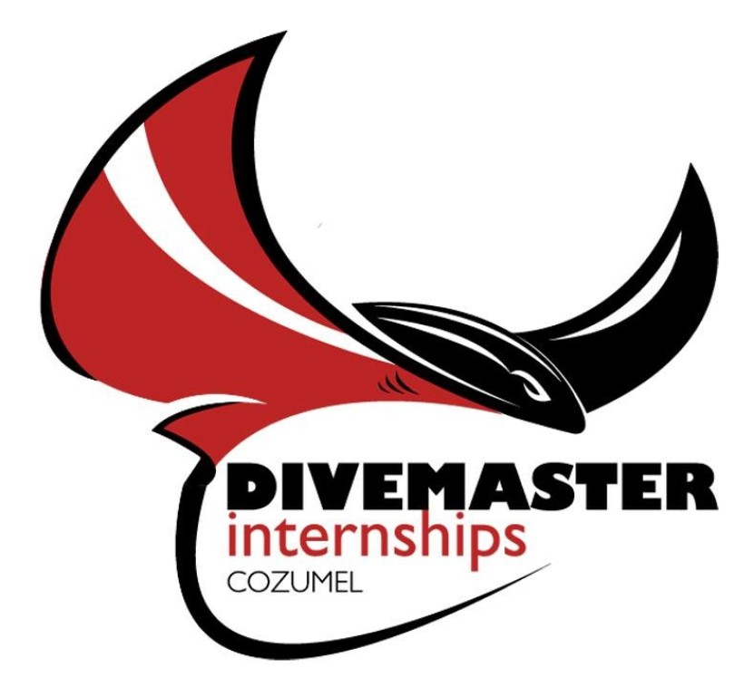 Keep Cozumel Clean with Divermaster Interns