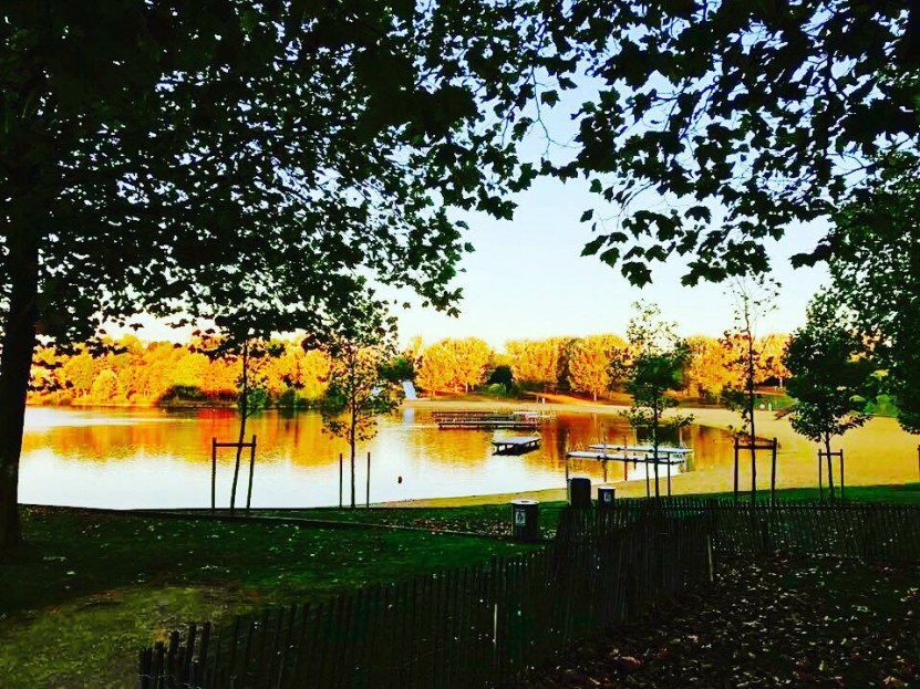 Cleaning of the beach and lake of Torcy in France.  Join us with isanthea.com