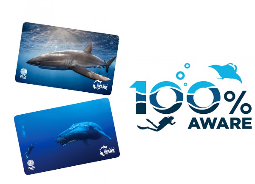 100% AWARE Certification Cards to 100% of our students