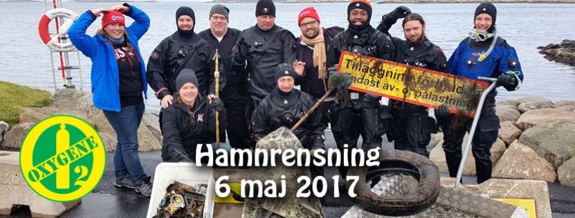 Hamnrensning170506