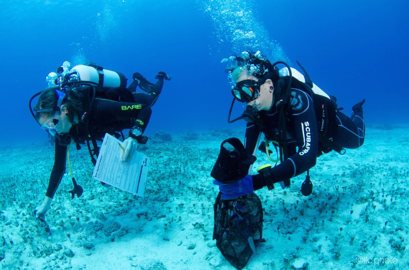 Amanda and Jamie show off their skills while diving against debris.