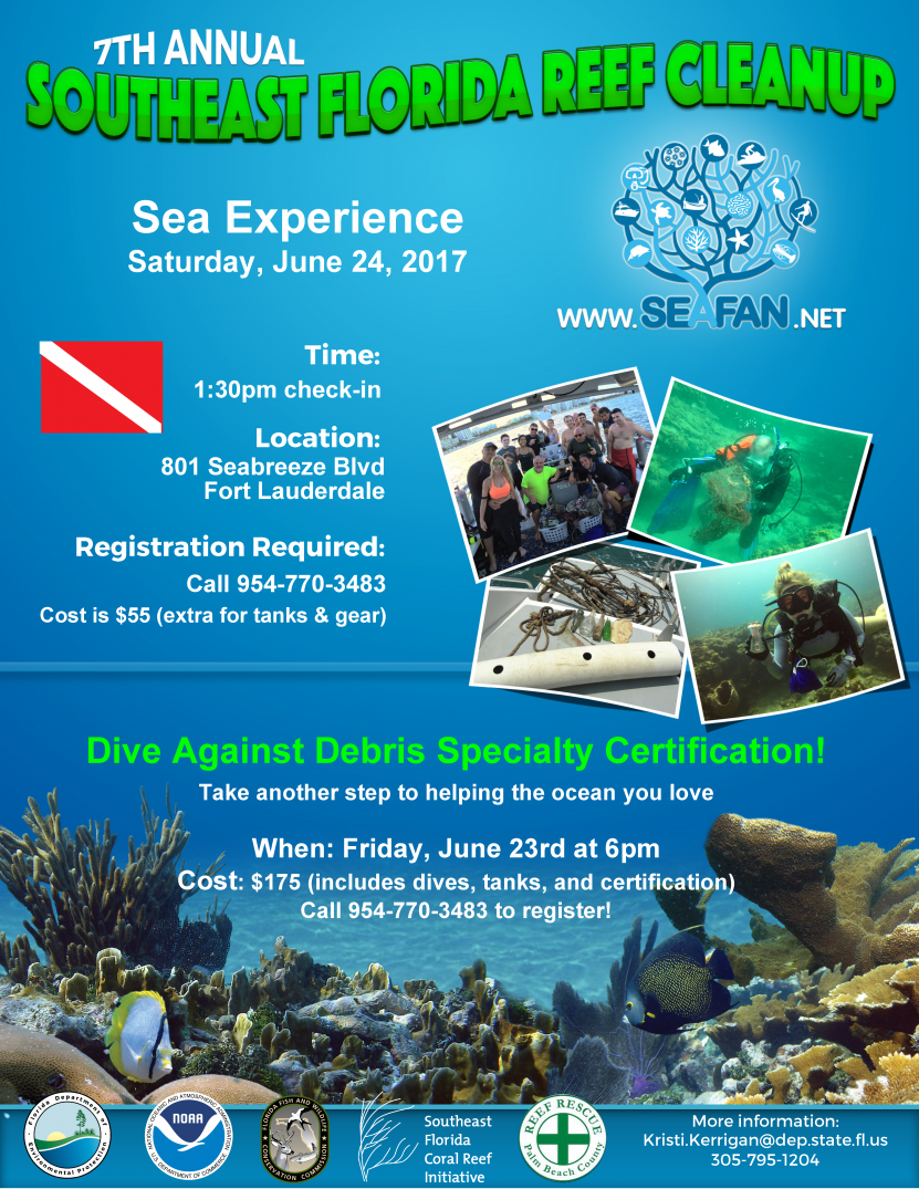 Sea Experience Dive Against Debris Cleanup and Specialty Course