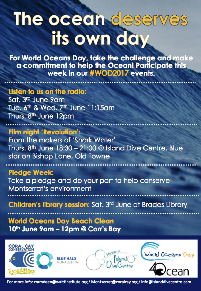 World Oceans day with Montserrat Island Dive, Centre Coral Cay Conservation and Blue Halo