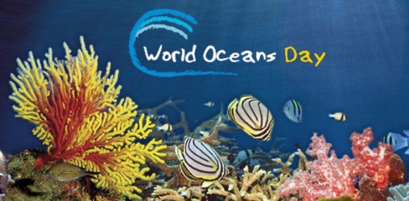 World Oceans day with Montserrat Island Dive Centre