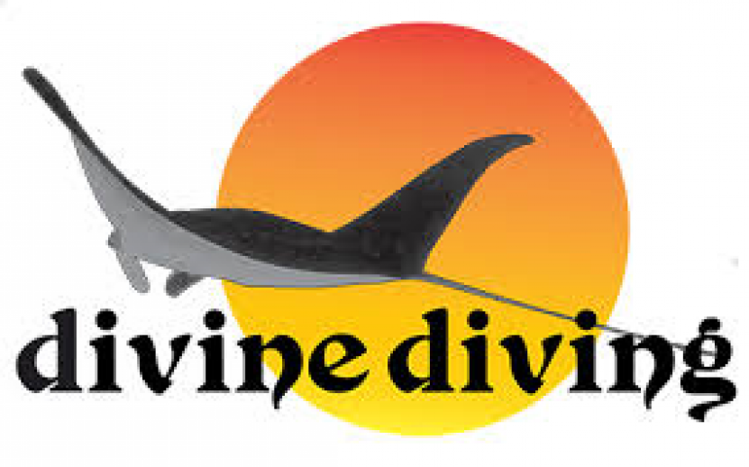 Dive Diving True adventure students beach cleanup