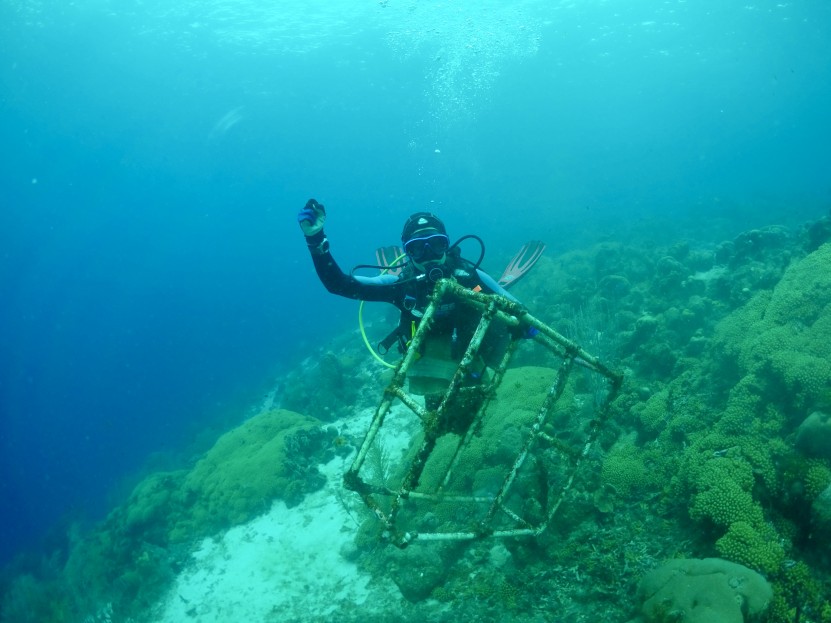 Girlpower, clean up Ocean Encounters Curacao