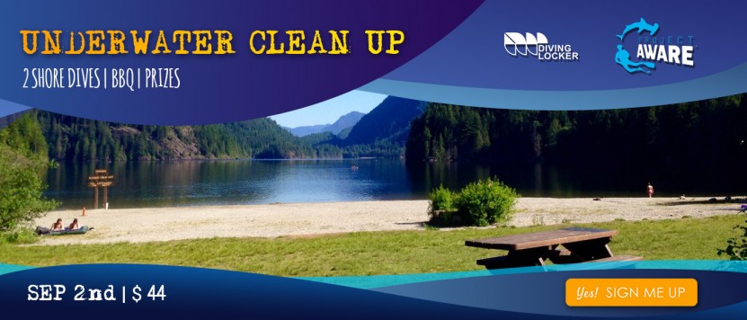 Underwater Clean Up at Cates Park: 2 shore dives, bbq and greta prizes!