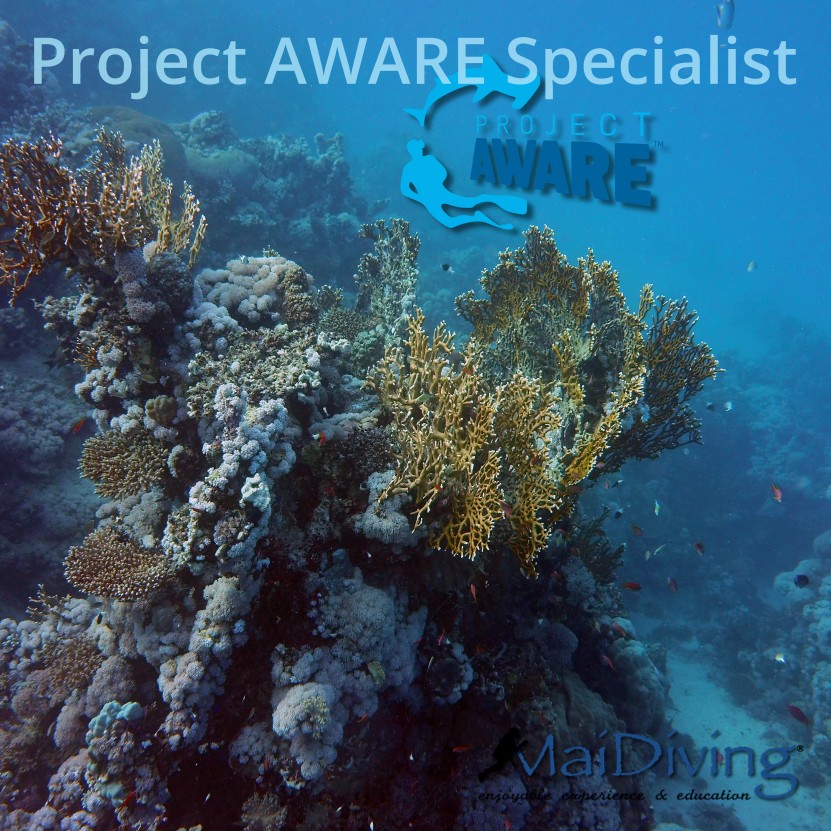 MaiDiving Divecenter winterevent: Project Aware Specialist