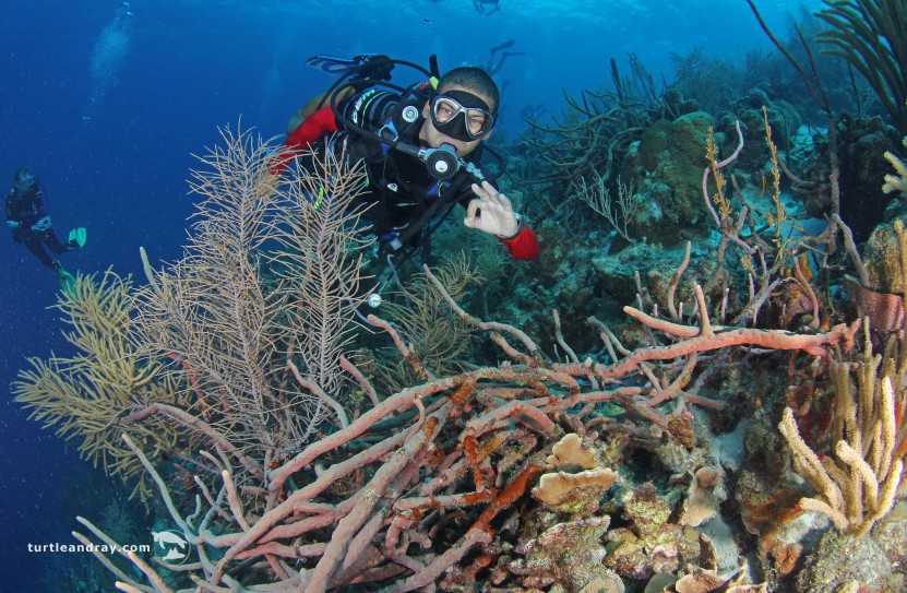 Curacao - A Unique Shore Diving Haven