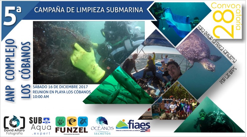 underwater marine clean up Los Cobanos