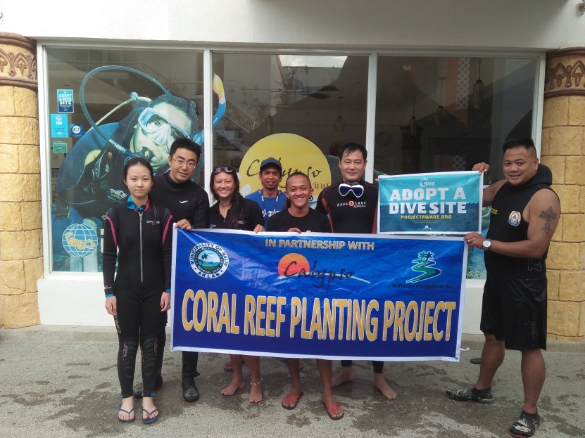 Coral planting project at Calypso Diving