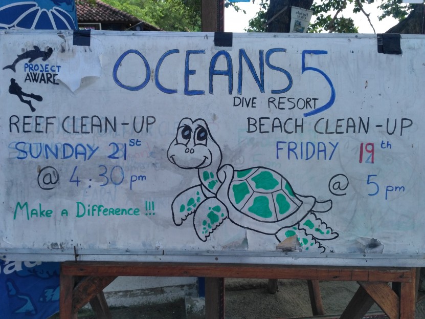 Team beach clean up