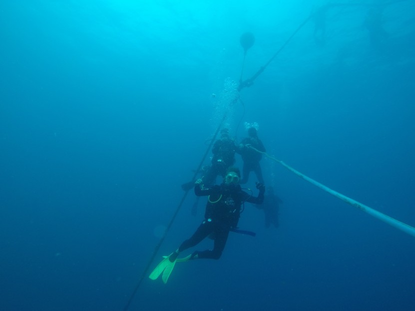 Down the mooring line! 