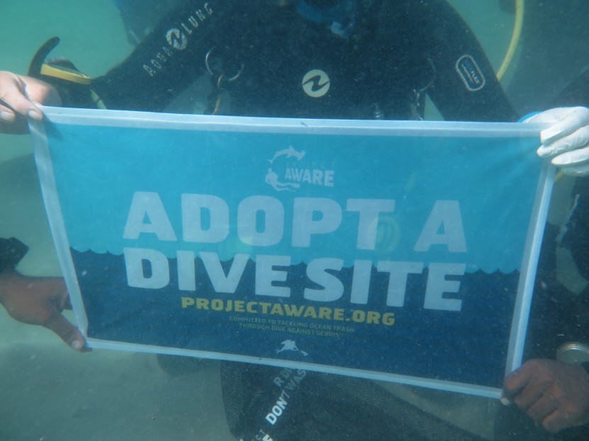 project aware adopt a dive site mamutik malaysia