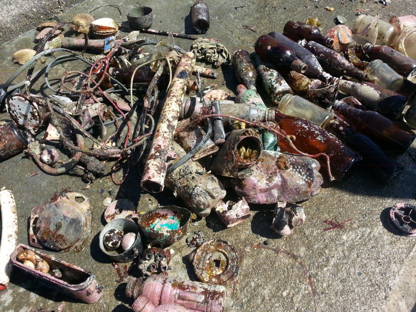 Marine Debris