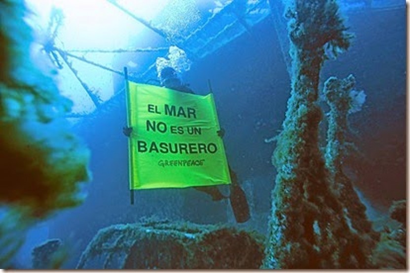 Limpieza Muelle Baron, Dive Against Debris !!!