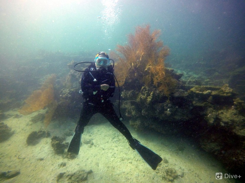 One of the dive at Koh Lipe, Thailand