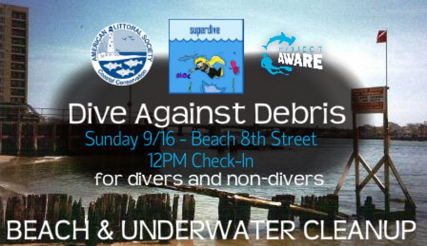 Dive Against Debris and Shore Cleanup