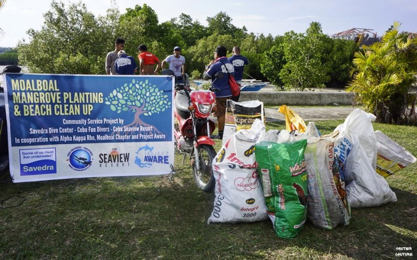 Beach Clean Up and Mangrove Planting