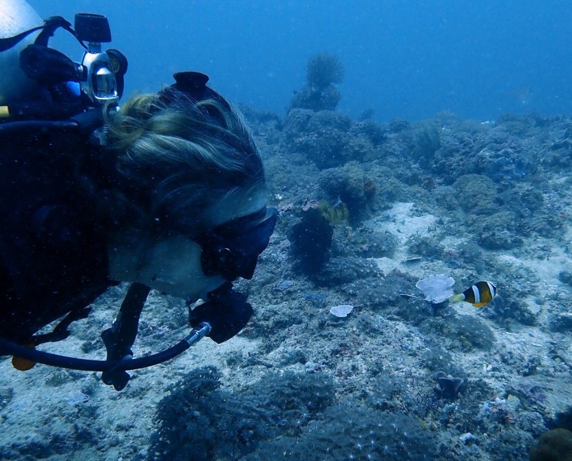 Around 18 meters, I am always delighted by Clown fish...:) 