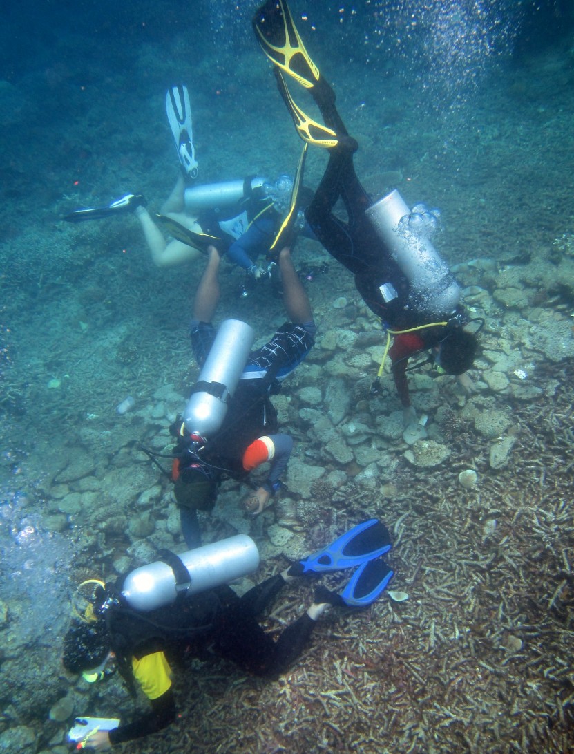 preparing coral nursery