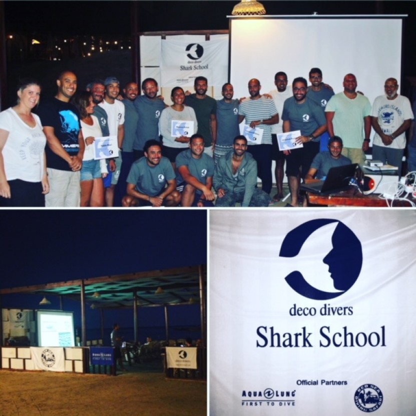 Shark Interaction Workshop