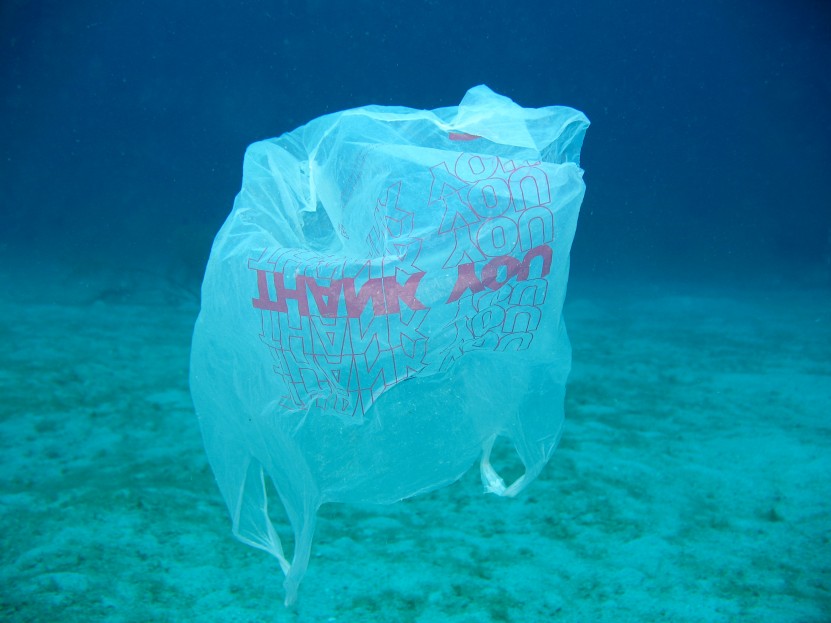 Diver Station San Andres #DiveAgainstDebris