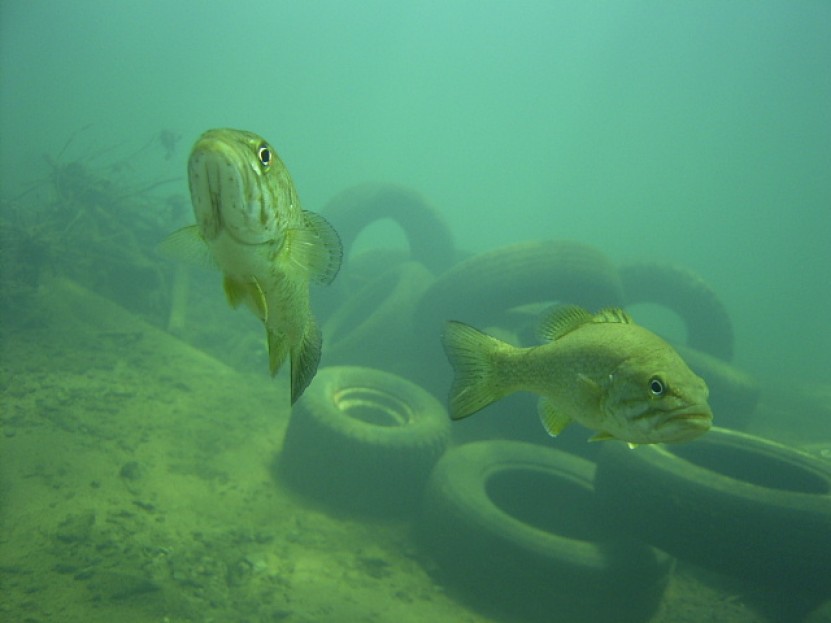 underwater debris