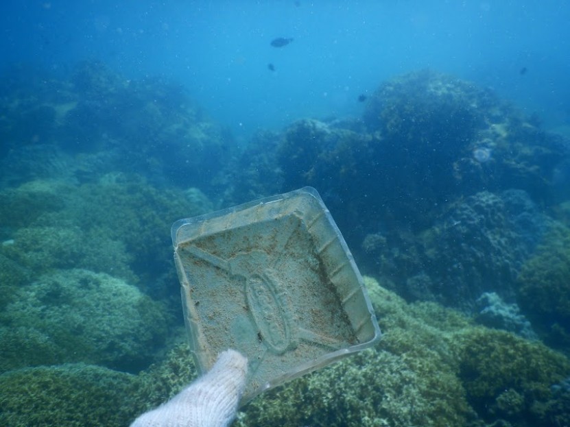 World Oceans Day 2019, clean up dives