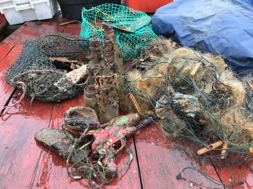 Dive Against Debris - Hong Kong Port Island (Chek Chau)