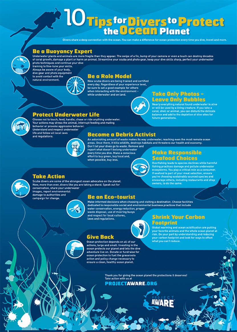 10 Tips to be a 100% Aware Diver