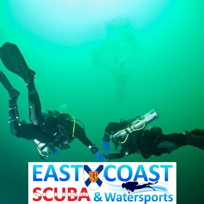 Mill Cove Clean up by East Coast Scuba & Watersports