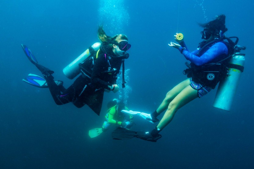 Girls diving