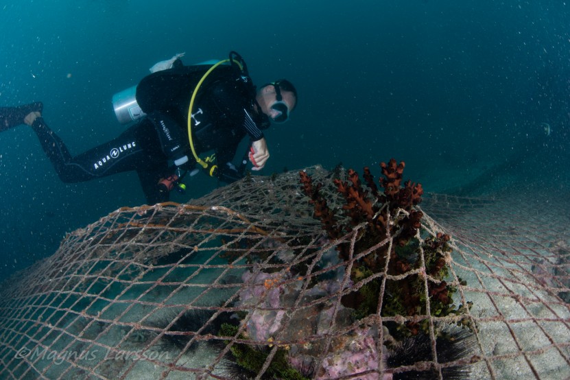 Ghost Gear Removal - Mergui Archipelago