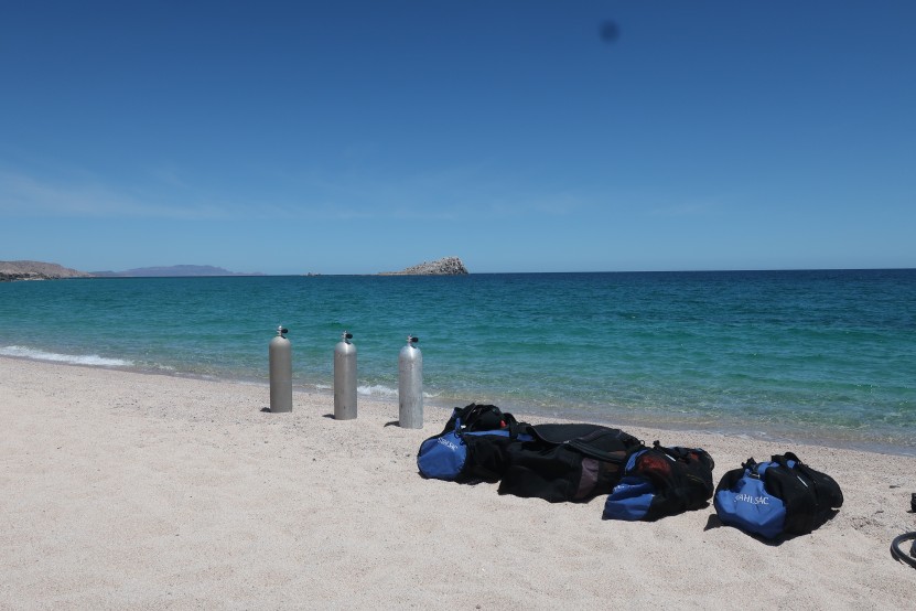 beach clean and dive against debris