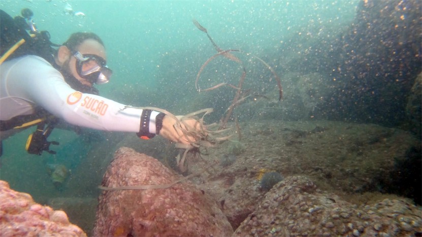 Scuba Diver collecting underwater debris